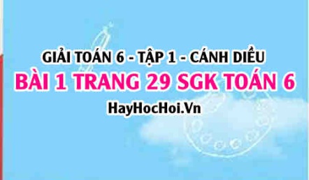 Giải bài 1 trang 29 Toán 6 Tập 1 SGK Cánh Diều